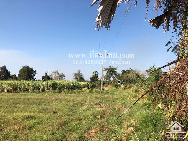 ขายที่ดินชัยบาดาล-ขายที่ดินหนองยายโต๊ะ-10-ไร่-93-ตรว-โฉนด-ตหนองยายโต็ะ-อชัยบาดาล-จลพบุรี-รหัส