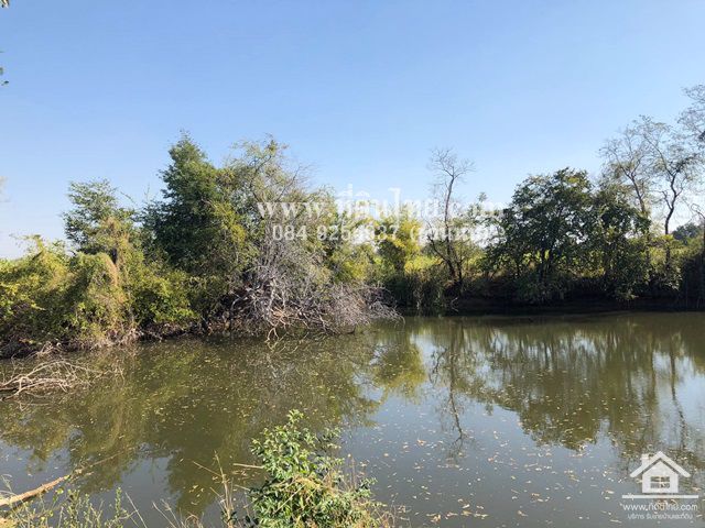 ขายที่ดินชัยบาดาล-ขายที่ดินหนองยายโต๊ะ-10-ไร่-93-ตรว-โฉนด-ตหนองยายโต็ะ-อชัยบาดาล-จลพบุรี-รหัส