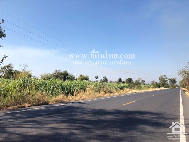 ขายที่ดินชัยบาดาล-ขายที่ดินหนองยายโต๊ะ-10-ไร่-93-ตรว-โฉนด-ตหนองยายโต็ะ-อชัยบาดาล-จลพบุรี-รหัส