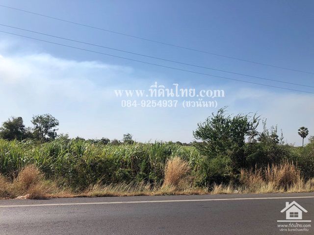 ขายที่ดินชัยบาดาล-ขายที่ดินหนองยายโต๊ะ-10-ไร่-93-ตรว-โฉนด-ตหนองยายโต็ะ-อชัยบาดาล-จลพบุรี-รหัส