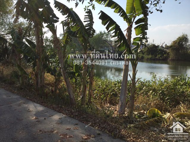 ที่ดินติดแม่น้ำจันท์-111ตรว-ตเกาะขวาง-อเมือง-จจันทบุรี-รหัส-l320