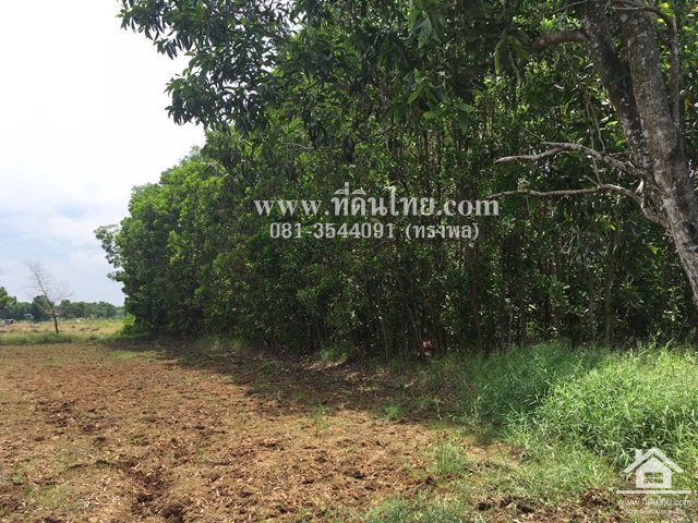 ที่ดินติดถนนเกาะลอย-โฉนด-390ตรว-ตเกาะขวาง-อเมือง-จจันทบุรี-รหัส-l322