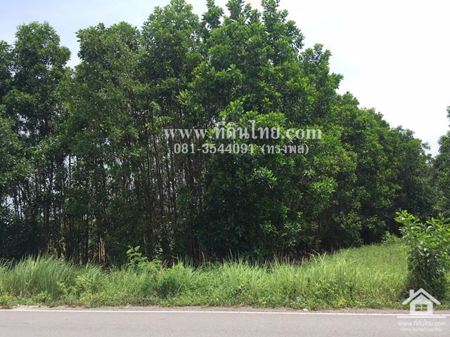 ที่ดินติดถนนเกาะลอย-โฉนด-390ตรว-ตเกาะขวาง-อเมือง-จจันทบุรี-รหัส-l322