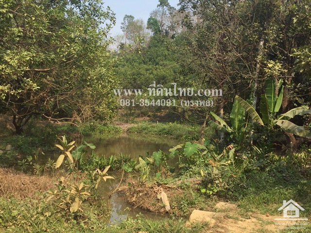 ขายที่ดิน-ภบท5-คลองขวางพัฒนา-จำนวน-14ไร่-ตปัถวี-อมะขาม-จจันทบุรี-รหัส-l323