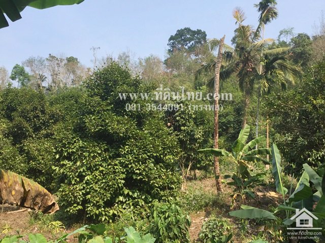 ขายที่ดิน-ภบท5-คลองขวางพัฒนา-จำนวน-14ไร่-ตปัถวี-อมะขาม-จจันทบุรี-รหัส-l323