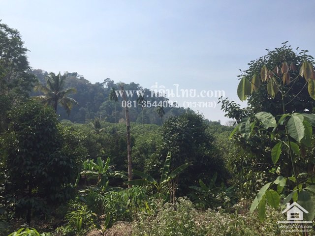 ขายที่ดิน-ภบท5-คลองขวางพัฒนา-จำนวน-14ไร่-ตปัถวี-อมะขาม-จจันทบุรี-รหัส-l323