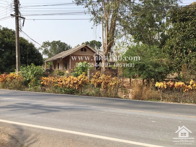 ขายที่ดินทำล้งรับซื้อผลไม้-ท่าใหม่-โฉนด-4ไร่-ตเขาบายศรี-อท่าใหม่-จจันทบุรี-รหัส-l325