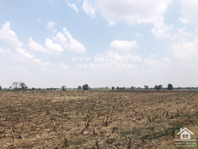 ขายที่ดินติดลาดยาง-4ไร่-71ตรว-โฉนด-ตชอนสารเดช-อหนองม่วง-จลพบุรี-รหัส-l327