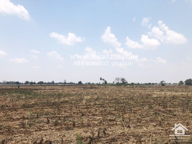 ขายที่ดินติดลาดยาง-4ไร่-71ตรว-โฉนด-ตชอนสารเดช-อหนองม่วง-จลพบุรี-รหัส-l327