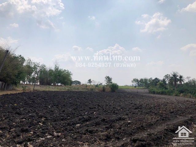 ขายที่ดินหนองม่วง-ขายที่ดินลพบุรี-5ไร่เศษ-นส3ก-ตชอนสารเดช-อหนองม่วง-จลพบุรี-รหัส-l328