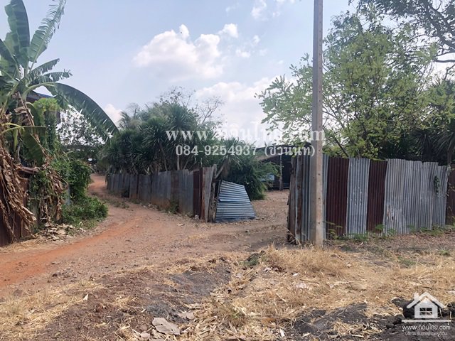 ขายที่ดินหนองม่วง-ขายที่ดินลพบุรี-5ไร่เศษ-นส3ก-ตชอนสารเดช-อหนองม่วง-จลพบุรี-รหัส-l328