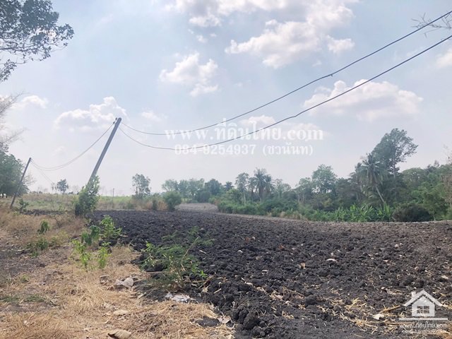 ขายที่ดินหนองม่วง-ขายที่ดินลพบุรี-5ไร่เศษ-นส3ก-ตชอนสารเดช-อหนองม่วง-จลพบุรี-รหัส-l328