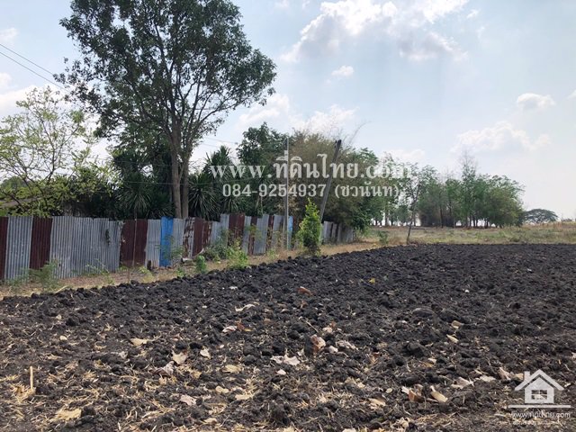 ขายที่ดินหนองม่วง-ขายที่ดินลพบุรี-5ไร่เศษ-นส3ก-ตชอนสารเดช-อหนองม่วง-จลพบุรี-รหัส-l328