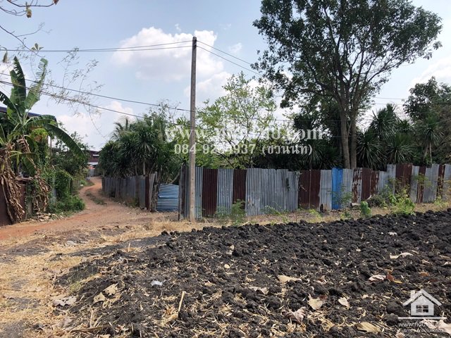 ขายที่ดินหนองม่วง-ขายที่ดินลพบุรี-5ไร่เศษ-นส3ก-ตชอนสารเดช-อหนองม่วง-จลพบุรี-รหัส-l328