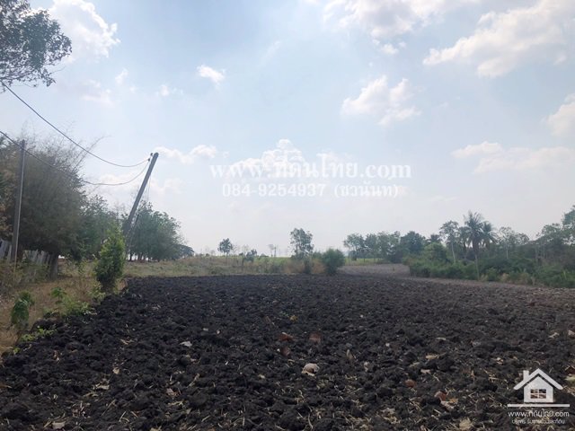 ขายที่ดินหนองม่วง-ขายที่ดินลพบุรี-5ไร่เศษ-นส3ก-ตชอนสารเดช-อหนองม่วง-จลพบุรี-รหัส-l328