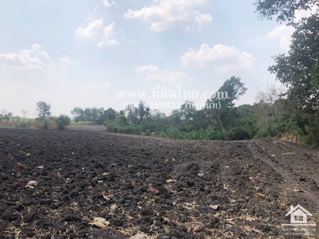 ขายที่ดินหนองม่วง-ขายที่ดินลพบุรี-5ไร่เศษ-นส3ก-ตชอนสารเดช-อหนองม่วง-จลพบุรี-รหัส-l328