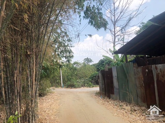 ขายที่ดินหนองม่วง-ขายที่ดินลพบุรี-5ไร่เศษ-นส3ก-ตชอนสารเดช-อหนองม่วง-จลพบุรี-รหัส-l328