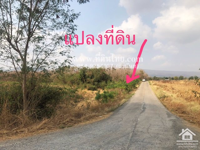 ขายที่ดินวังเพลิง-ขายที่ดินลพบุรี-14ไร่-3งาน-โฉนด-ตวังเพลิง-อโคกสำโรง-จลพบุรี-รหัส-l260