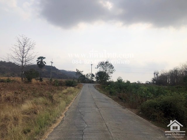 ขายที่ดินวังเพลิง-ขายที่ดินลพบุรี-14ไร่-3งาน-โฉนด-ตวังเพลิง-อโคกสำโรง-จลพบุรี-รหัส-l260