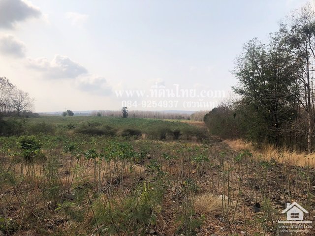 ขายที่ดินวังเพลิง-ขายที่ดินลพบุรี-14ไร่-3งาน-โฉนด-ตวังเพลิง-อโคกสำโรง-จลพบุรี-รหัส-l260