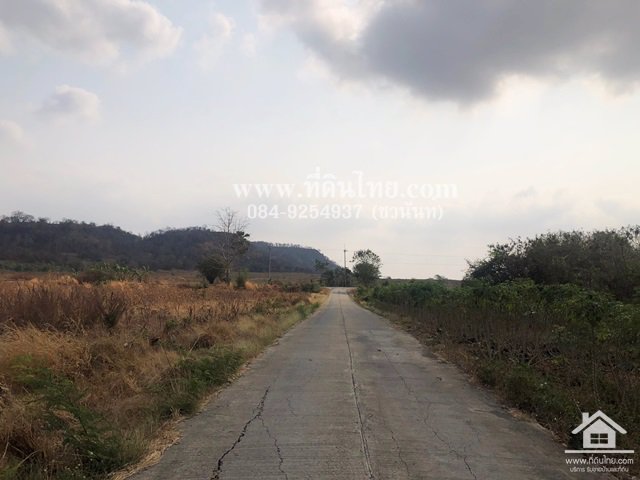 ขายที่ดินวังเพลิง-ขายที่ดินลพบุรี-14ไร่-3งาน-โฉนด-ตวังเพลิง-อโคกสำโรง-จลพบุรี-รหัส-l260