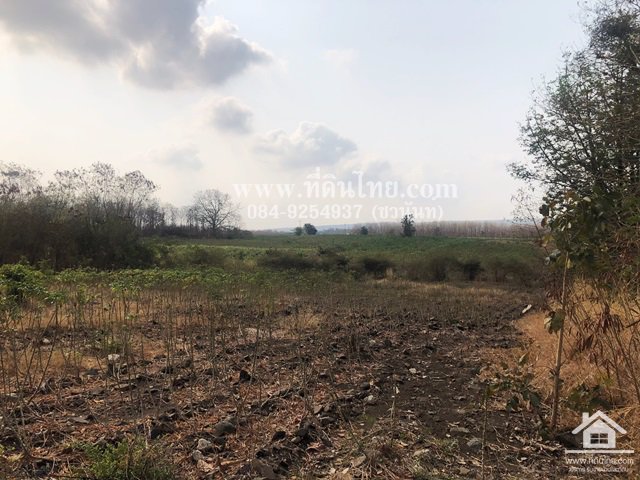 ขายที่ดินวังเพลิง-ขายที่ดินลพบุรี-14ไร่-3งาน-โฉนด-ตวังเพลิง-อโคกสำโรง-จลพบุรี-รหัส-l260