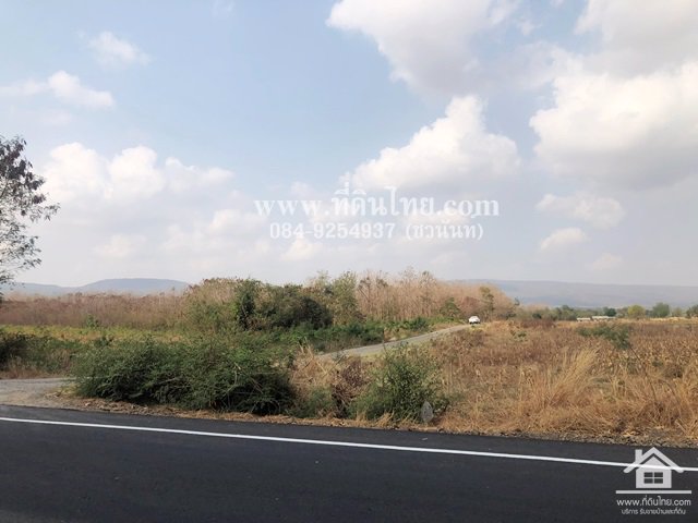 ขายที่ดินวังเพลิง-ขายที่ดินลพบุรี-14ไร่-3งาน-โฉนด-ตวังเพลิง-อโคกสำโรง-จลพบุรี-รหัส-l260