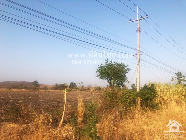 ขายที่ดินติด205-ขายที่ดินชัยบาดาล-โฉนด-48ไร่-3งาน-95ตรว-ตชัยบาดาล-อชัยบาดาล-จลพบุรี-รหัส-l261