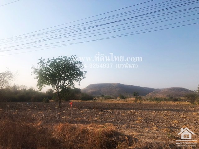 ขายที่ดินติด205-ขายที่ดินชัยบาดาล-โฉนด-48ไร่-3งาน-95ตรว-ตชัยบาดาล-อชัยบาดาล-จลพบุรี-รหัส-l261