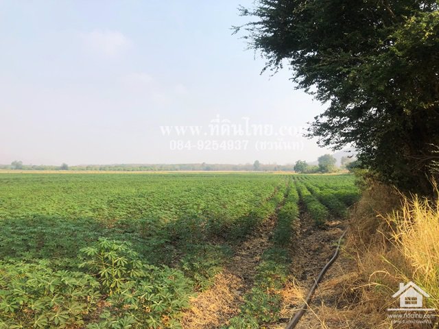 ขายที่ดินหนองม่วง-ขายที่ดินบ่อทอง-ขายที่ดินลพบุรี-35ไร่เศษ-นส3ก-ตบ่อทอง-อหนองม่วง-จลพบุรี-รหัส-l