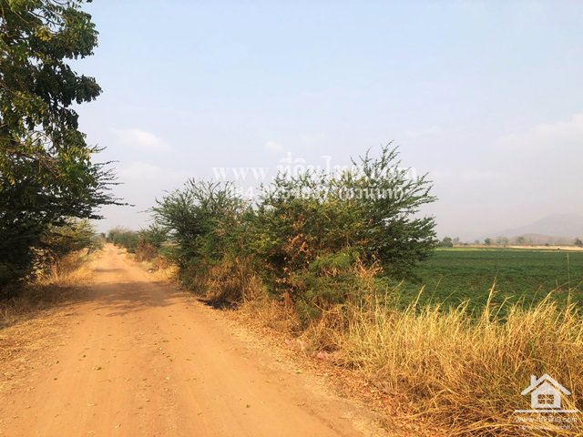 ขายที่ดินหนองม่วง-ขายที่ดินบ่อทอง-ขายที่ดินลพบุรี-35ไร่เศษ-นส3ก-ตบ่อทอง-อหนองม่วง-จลพบุรี-รหัส-l