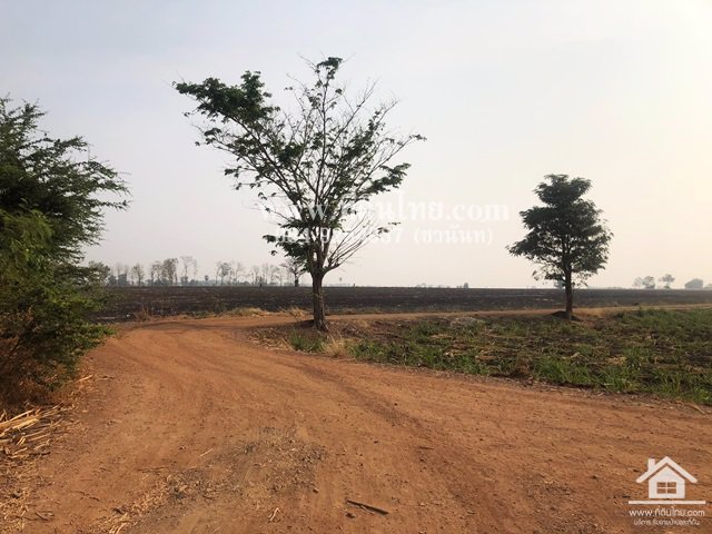 ขายที่ดินหนองม่วง-ขายที่ดินบ่อทอง-ขายที่ดินลพบุรี-35ไร่เศษ-นส3ก-ตบ่อทอง-อหนองม่วง-จลพบุรี-รหัส-l