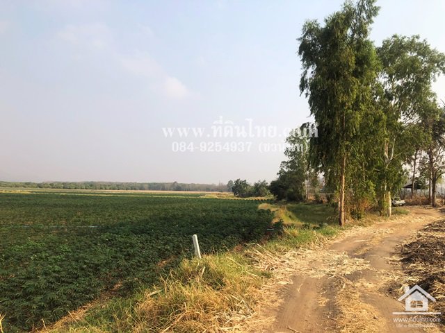 ขายที่ดินหนองม่วง-ขายที่ดินบ่อทอง-ขายที่ดินลพบุรี-35ไร่เศษ-นส3ก-ตบ่อทอง-อหนองม่วง-จลพบุรี-รหัส-l