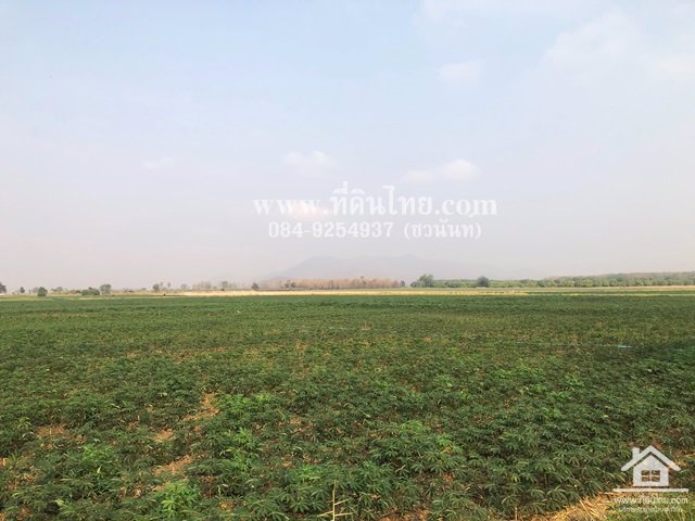 ขายที่ดินหนองม่วง-ขายที่ดินบ่อทอง-ขายที่ดินลพบุรี-35ไร่เศษ-นส3ก-ตบ่อทอง-อหนองม่วง-จลพบุรี-รหัส-l