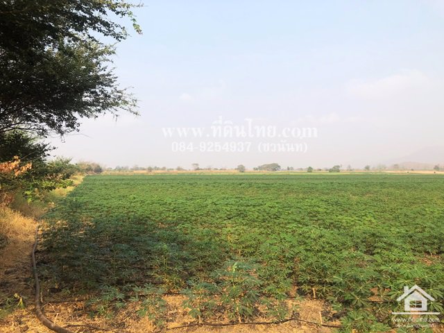 ขายที่ดินหนองม่วง-ขายที่ดินบ่อทอง-ขายที่ดินลพบุรี-35ไร่เศษ-นส3ก-ตบ่อทอง-อหนองม่วง-จลพบุรี-รหัส-l