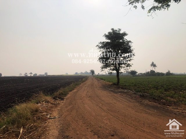 ขายที่ดินหนองม่วง-ขายที่ดินบ่อทอง-ขายที่ดินลพบุรี-35ไร่เศษ-นส3ก-ตบ่อทอง-อหนองม่วง-จลพบุรี-รหัส-l