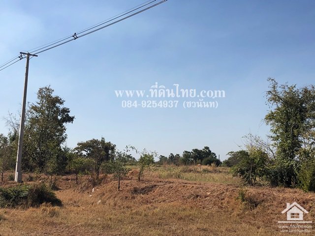 ขายที่ดินชัยบาดาล-ขายที่ดินบัวชุม-ขายที่ดินลพบุรี-74ไร่-นส3ก-ตบัวชุม-อชัยบาดาล-จลพบุรี-รหัส-l333