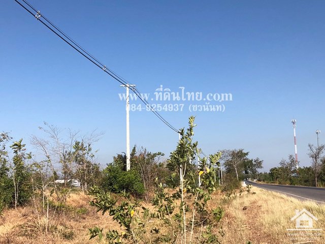 ขายที่ดินชัยบาดาล-ขายที่ดินบัวชุม-ขายที่ดินลพบุรี-74ไร่-นส3ก-ตบัวชุม-อชัยบาดาล-จลพบุรี-รหัส-l333