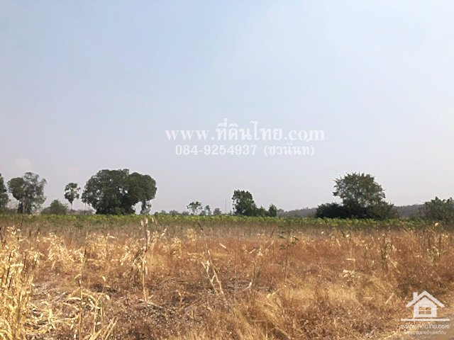 ขายที่ดินวังเพลิง-ขายที่ดินโคกสำโรง-8ไร่-3งาน-31ตรว-โฉนด-ตวังเพลิง-อโคกสำโรง-จลพบุรี-รหัส-l335