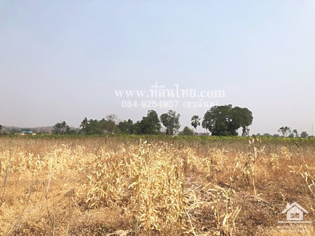 ขายที่ดินวังเพลิง-ขายที่ดินโคกสำโรง-8ไร่-3งาน-31ตรว-โฉนด-ตวังเพลิง-อโคกสำโรง-จลพบุรี-รหัส-l335