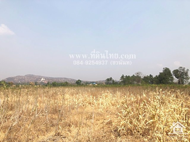 ขายที่ดินวังเพลิง-ขายที่ดินโคกสำโรง-8ไร่-3งาน-31ตรว-โฉนด-ตวังเพลิง-อโคกสำโรง-จลพบุรี-รหัส-l335