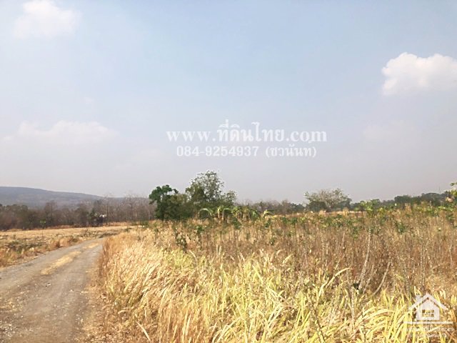 ขายที่ดินวังเพลิง-ขายที่ดินโคกสำโรง-8ไร่-3งาน-31ตรว-โฉนด-ตวังเพลิง-อโคกสำโรง-จลพบุรี-รหัส-l335