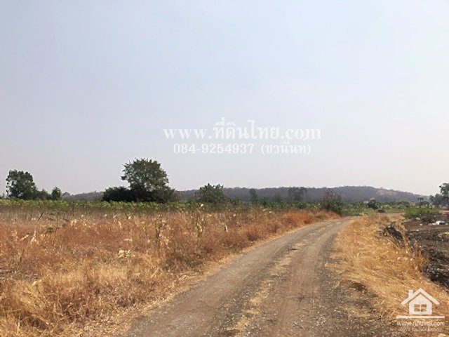 ขายที่ดินวังเพลิง-ขายที่ดินโคกสำโรง-8ไร่-3งาน-31ตรว-โฉนด-ตวังเพลิง-อโคกสำโรง-จลพบุรี-รหัส-l335