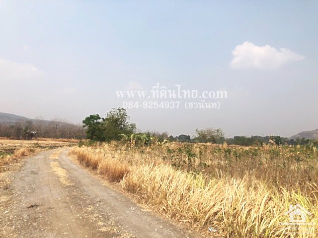 ขายที่ดินวังเพลิง-ขายที่ดินโคกสำโรง-8ไร่-3งาน-31ตรว-โฉนด-ตวังเพลิง-อโคกสำโรง-จลพบุรี-รหัส-l335