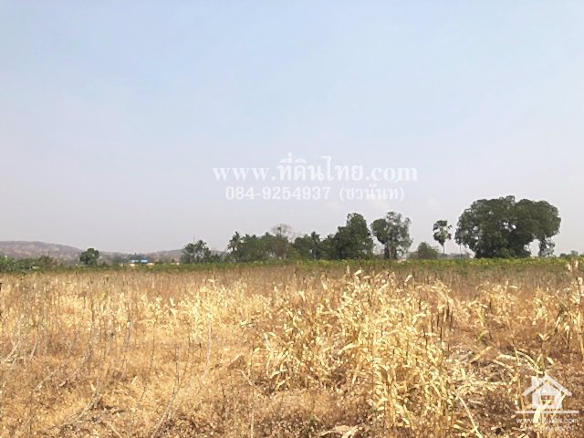 ขายที่ดินวังเพลิง-ขายที่ดินโคกสำโรง-8ไร่-3งาน-31ตรว-โฉนด-ตวังเพลิง-อโคกสำโรง-จลพบุรี-รหัส-l335