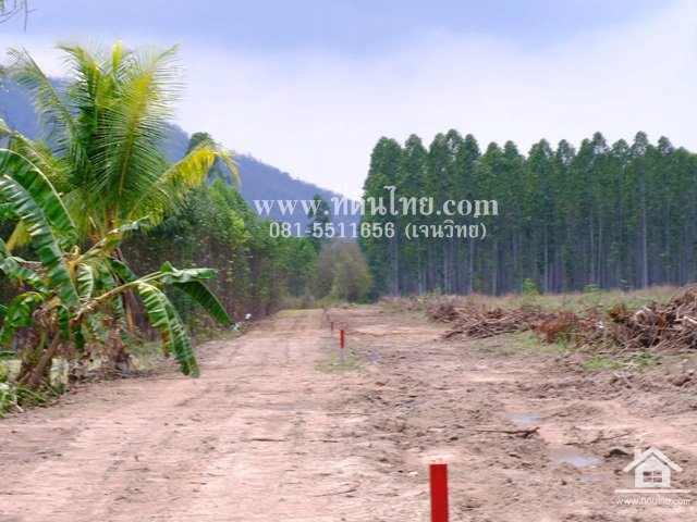 ขายที่ดินโฉนด-1ไร่-ตธาตุทอง-อบ่อทอง-จชลบุรี-รหัส-l338