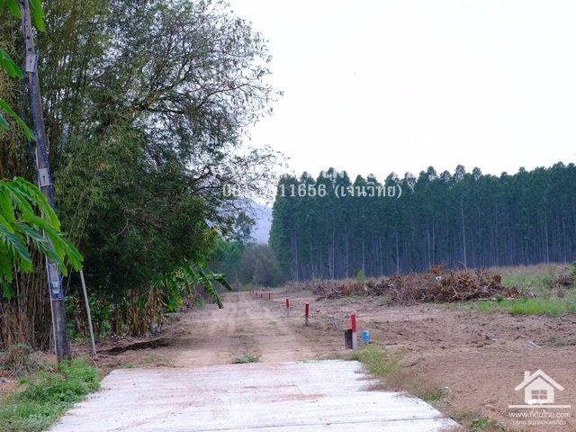 ขายที่ดินโฉนด-1ไร่-ตธาตุทอง-อบ่อทอง-จชลบุรี-รหัส-l338