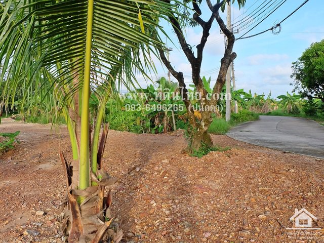 ที่ดินแบ่งล๊อกเสม็ดงาม-โฉนด-135-319ตรว-ตหนองบัว-อเมือง-จจันทบุรี-รหัส-l340