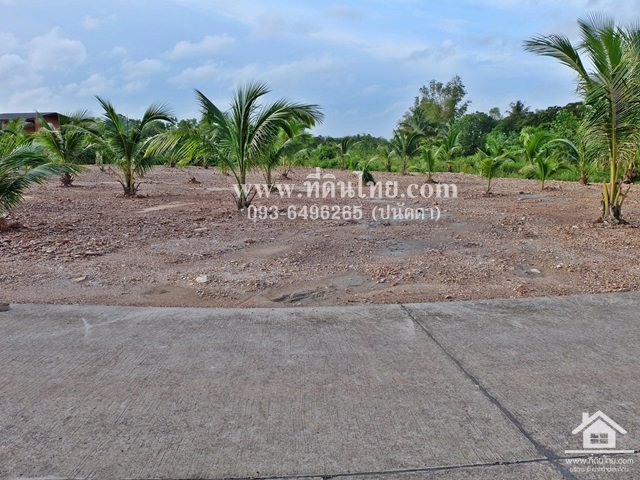 ที่ดินแบ่งล๊อกเสม็ดงาม-โฉนด-135-319ตรว-ตหนองบัว-อเมือง-จจันทบุรี-รหัส-l340