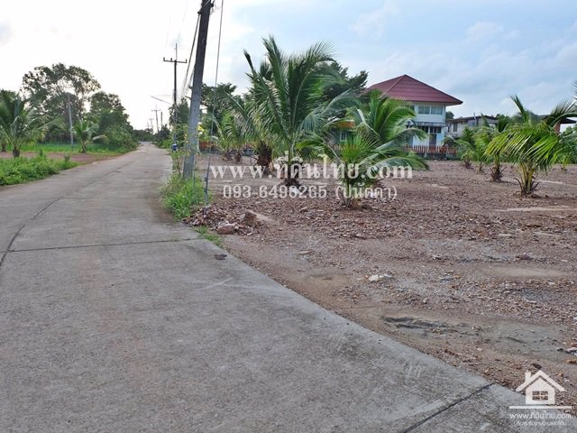 ที่ดินแบ่งล๊อกเสม็ดงาม-โฉนด-135-319ตรว-ตหนองบัว-อเมือง-จจันทบุรี-รหัส-l340